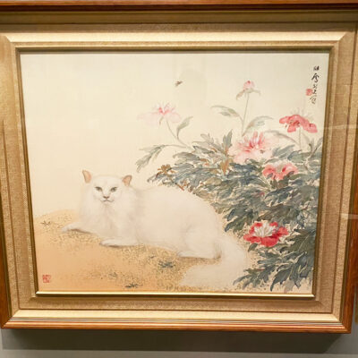 橋本関雪 芍薬白猫図　古美術品